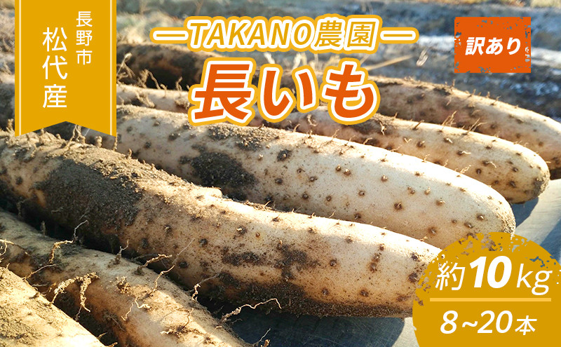 高野農園　長野市松代産 TAKANO農園　長いも 約10kg（訳あり）【8～20本】長芋　ながいも | ながいも 野菜 いも 芋 大容量 人気 おすすめ 根菜 健康 長野県 長野市 信州 信濃 ふるさと納税