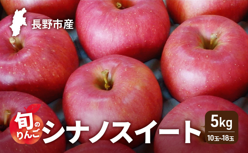 2026年発送　長野市産　旬のりんご　シナノスイート5kg　10玉～18玉 りんご リンゴ 果物 フルーツ 秋