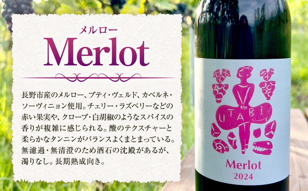 Merlot ã¡ã«ã㌠ïŒã¯ã€ã³ïŒ | ã¯ã€ã³ èµ€ã¯ã€ã³ ã¶ã©ã ãã㊠è¡è äººæ° ãããã ã®ãã ãã¬ãŒã³ã éæç¡æ é·éç é·éåž ä¿¡å· ä¿¡æ¿ ãµãããšçŽçš