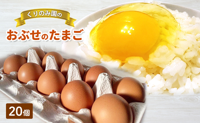 おぶせのたまご 20個 |  たまご 卵 鶏 鶏卵 人気 おすすめ  送料無料  長野県 長野市 信州 信濃 ふるさと納税