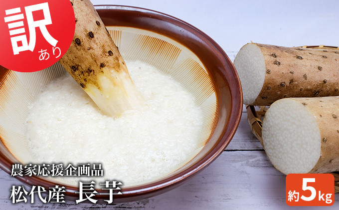 松代産長芋約5kg【地域の生産者応援の品(訳あり品)】 |  長芋 松代 訳あり 応援品 人気 おすすめ 野菜 根菜 とろろ 煮物 焼き物 揚げ物 健康 食材 長野県 長野市 信州 信濃 ふるさと納税