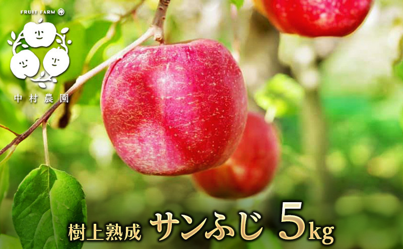 フルーツファーム中村農園　【11月下旬発送 先行予約】樹上熟成　サンふじ 5kg |  りんご サンふじ 糖度 酸味 林檎 人気 おすすめ 果物 フルーツ 大玉 贈答用 ギフト 送料無料 長野県 長野市 信州 信濃 ふるさと納税