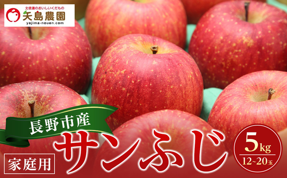 矢島農園　 長野市産 サンふじ 家庭用 5kg(12～20玉)【2026年12月中旬頃～発送予定】 |  りんご フルーツ 果物 人気 おすすめ ギフト プレゼント 送料無料 長野県 長野市 信州 信濃 ふるさと納税