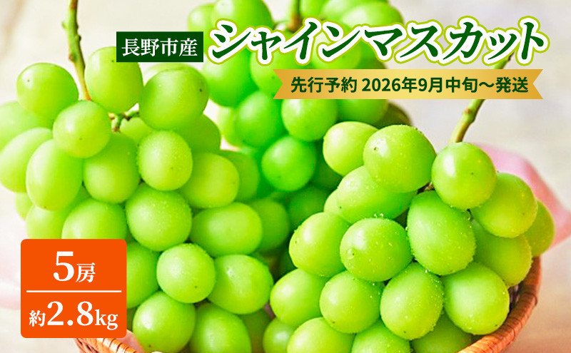 本気農場いけだ　長野市産シャインマスカット5房（約2.8kg）【2026年9月中旬以降の出荷分】 |  シャインマスカット ぶどう フルーツ 果物 人気 おすすめ ギフト プレゼント 送料無料 長野県 長野市 信州 信濃 ふるさと納税