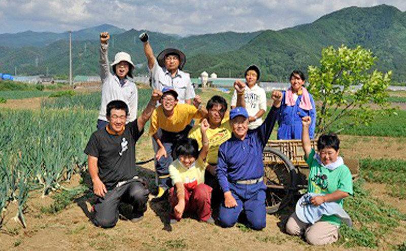 おぶせのたまご 20個 |  たまご 卵 鶏 鶏卵 人気 おすすめ  送料無料  長野県 長野市 信州 信濃 ふるさと納税