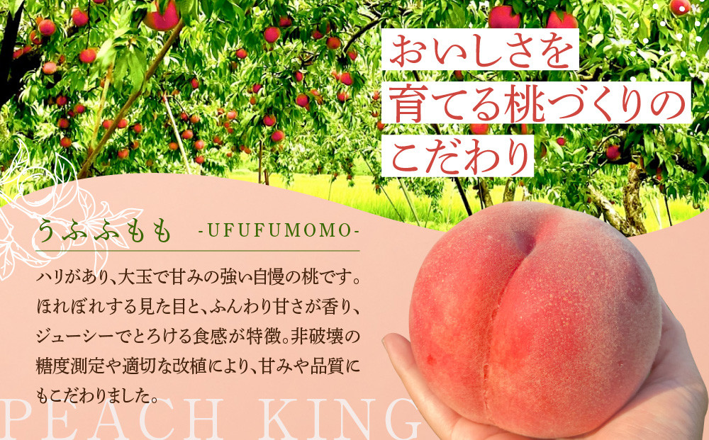 ããŒããã®ææš¹å±ããå
è¡äºçŽãå·äžå³¶ã®æ¡ çŽ2kg åçš®ããŸãã 8æäžæ¬ïœ8æäžæ¬çºéäºå® | æ¡ ãã ãã«ãŒã æå® äººæ° ãããã ã®ãã ç£å°çŽé éæç¡æ é·éç é·éåž ä¿¡å· ä¿¡æ¿ ãµãããšçŽçš