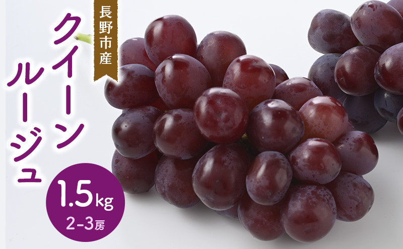 クイーンルージュ1.5kg　2-3房 |  ぶどう クイーンルージュ  フルーツ 果物 人気 おすすめ ブドウ ギフト プレゼント 送料無料 長野県 長野市 信州 信濃 ふるさと納税