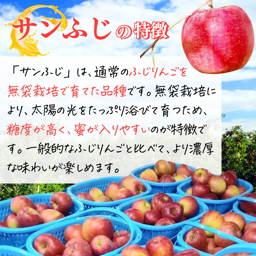 ãã«ãŒããã¡ãŒã äžæèŸ²åãã11æäžæ¬çºé å
è¡äºçŽãæš¹äžçæããµã³ãµã 3kg | ããã ãµã³ãµã ç³åºŠææª äººæ° ãããã æç© ãã«ãŒã 倧ç èŽççš ã®ãã éæç¡æ é·éç é·éåž ä¿¡å· ä¿¡æ¿ ãµãããšçŽçš