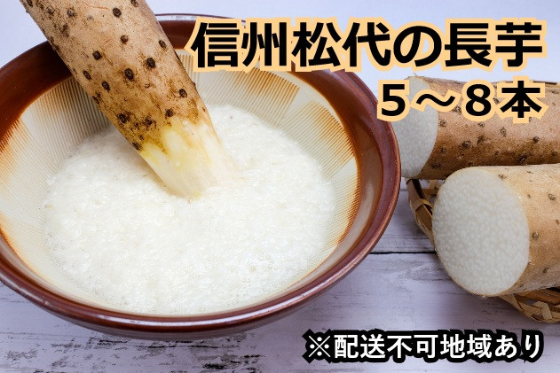 信州の長芋【調理しやすい食べきりサイズ】5～8本入り |  長芋 松代 食べきりサイズ 千曲川 人気 おすすめ 野菜 根菜 とろろ 煮物 焼き物 揚げ物 家庭用 健康 長野県 長野市 信州 信濃 ふるさと納税