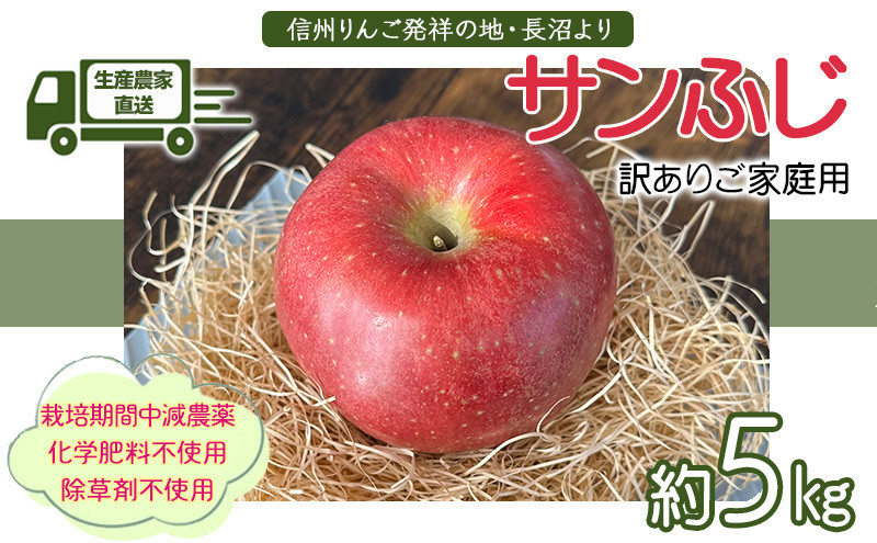 生産農家直送 人にやさしい 長沼りんご・サンふじ5kg（ご家庭用） |  りんご 林檎 フルーツ 果物 サンふじ 家庭用 長沼 農園 おすすめ 人気 送料無料 長野県 長野市 信州 信濃 ふるさと納税