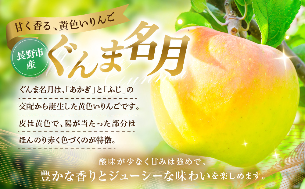 ぐんま名月3kg |  りんご フルーツ 果物  人気 おすすめ ギフト プレゼント 送料無料 長野県 長野市 信州 信濃 ふるさと納税