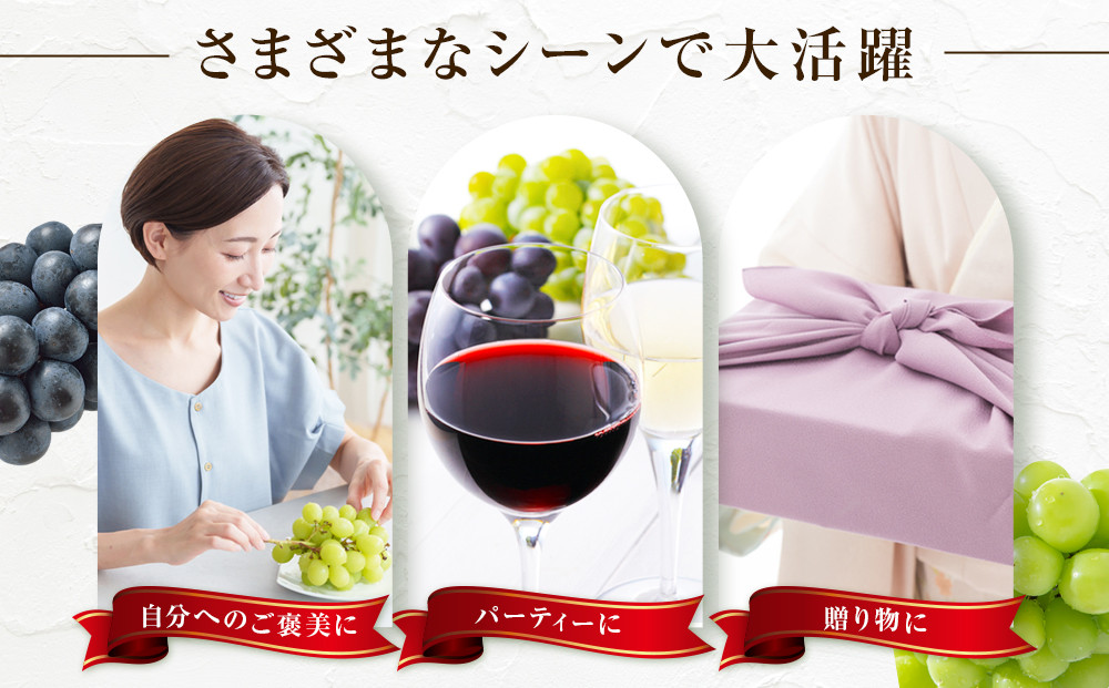 金オ岡村青果株式会社　長野市産 ナガノパープル＆シャインマスカット詰合せ１kg【2026年9月以降出荷分】フルーツ ぶどう 葡萄 果物 人気 種なし 新鮮 期間限定 令和8年 2026年発送 |  シャインマスカット ぶどう フルーツ 果物 人気 おすすめ ギフト プレゼント 送料無料 長野県 長野市 信州 信濃 ふるさと納税