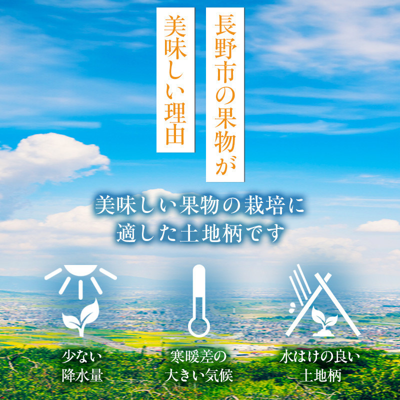 2026幎ç£ã¶ã©ã çš®ãªã å·šå³° çŽ4kg 6ïœ12æ¿å
¥ã æç© ãã㊠è¡è ãã«ãŒã ãã¶ãŒã ããã€ ä¿¡å· 2026幎ç§çºé | æç© ãã㊠è¡è ãã«ãŒã ãã¶ãŒã ã¶ã©ã çš®ãªã ãã«ãŒã äººæ° ãããã éæç¡æ é·éç é·éåž ä¿¡å· ä¿¡æ¿ ãµãããšçŽçš