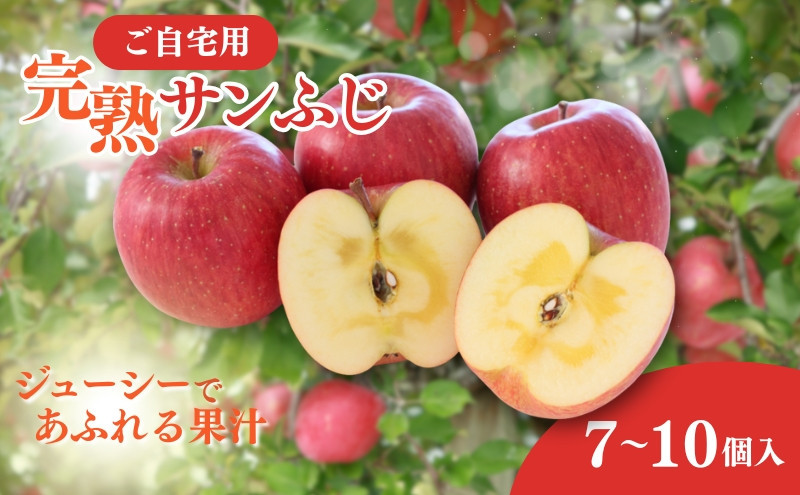 峯村農園　2026年産 ご自宅用 完熟サンふじ 7-10個入り リンゴ フルーツ 果物 デザート 信州 長野市 | りんご 完熟 サンふじ ご自宅用 訳あり 糖度 人気 おすすめ フルーツ 果物 デザート 旬 産地直送 長野県 長野市 信州 信濃 ふるさと納税