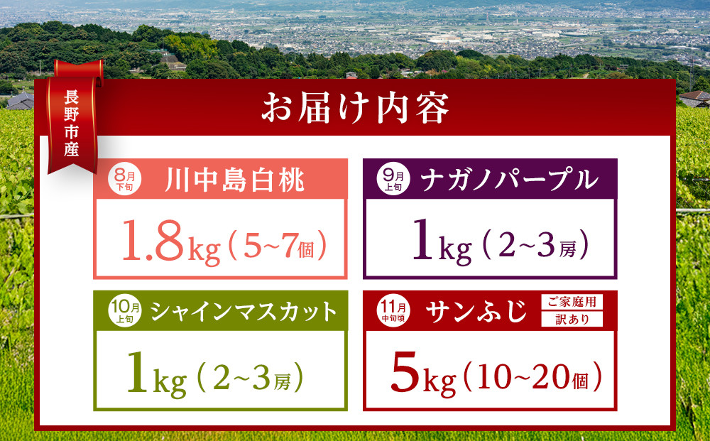 金オ岡村青果株式会社　長野市産 【先行予約】フルーツ定期便（川中島白桃・ナガノパープル・シャインマスカット・サンふじ） 長野市 |  桃 ナガノパープル シャインマスカット ぶどう りんご フルーツ 果物 人気 おすすめ ギフト プレゼント 送料無料 長野県 長野市 信州 信濃 ふるさと納税