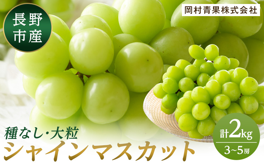 金オ岡村青果株式会社　長野市産 シャインマスカット2kg【2026年9月以降出荷分】フルーツ ぶどう 葡萄 果物 人気 種なし 数量限定 令和8年 産地 長野 |  シャインマスカット ぶどう フルーツ 果物 人気 おすすめ ギフト プレゼント 送料無料 長野県 長野市 信州 信濃 ふるさと納税