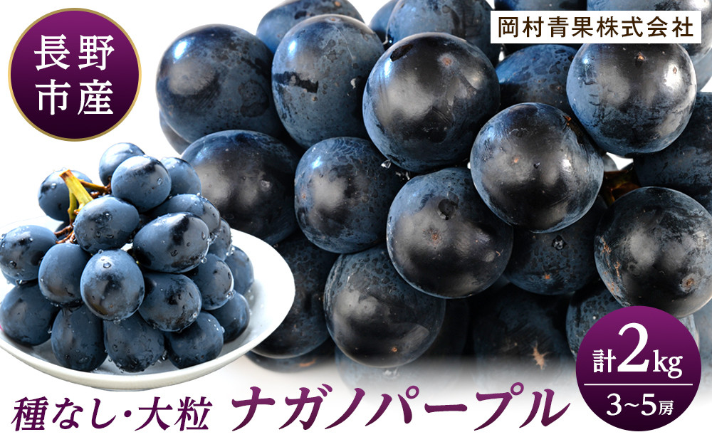 金オ岡村青果株式会社　長野市産 ナガノパープル2kg【2026年9月以降出荷分】果物 くだもの フルーツ デザート 種無し 大粒 旬  |  ぶどう フルーツ 果物 人気 おすすめ ギフト プレゼント 送料無料 長野県 長野市 信州 信濃 ふるさと納税