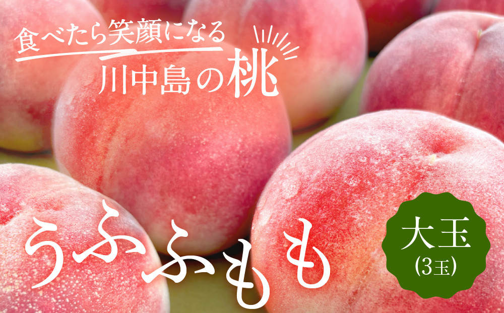 すーさんの果樹屋　【先行予約】川中島の桃 大玉3玉 品種おまかせ 7月下旬～8月上旬発送予定 | 桃 もも フルーツ 果実  人気 おすすめ ギフト 産地直送 送料無料 長野県 長野市 信州 信濃 ふるさと納税
