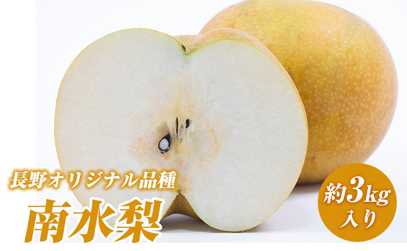 南水梨(約3kg:6玉～12玉)【2026年9月中旬以降発送予定】(さらしな青果)果物 くだもの フルーツ 旬 梨 なし ナシ 長野県 家庭用 訳あり |  梨 南水梨 オリジナル 長野県産 人気 おすすめ なし ナシ フルーツ 果物 ジューシー シャキシャキ 訳あり 家庭用 長野県 長野市 信州 信濃 ふるさと納税