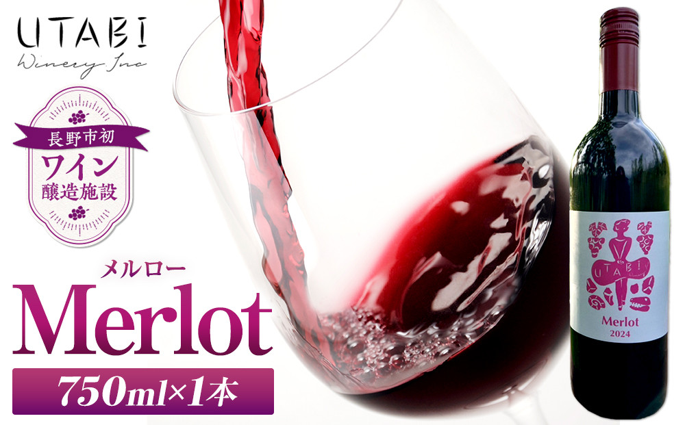 Merlot メルロー （ワイン） | ワイン 赤ワイン ぶどう ブドウ 葡萄 人気 おすすめ ギフト プレゼント 送料無料 長野県 長野市 信州 信濃 ふるさと納税