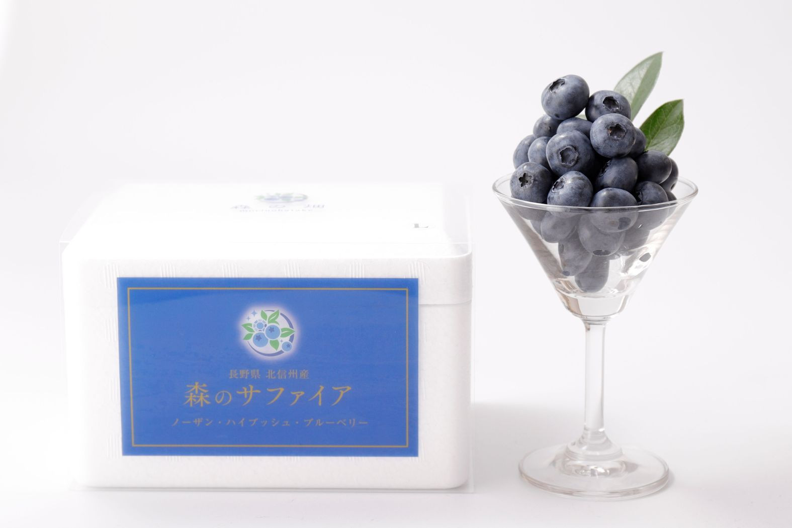 【Lサイズ】生ブルーベリー「森のサファイア」500g | ブルーベリー  フルーツ 冷蔵  人気 おすすめ ギフト 送料無料 長野県 長野市 信州 信濃 ふるさと納税