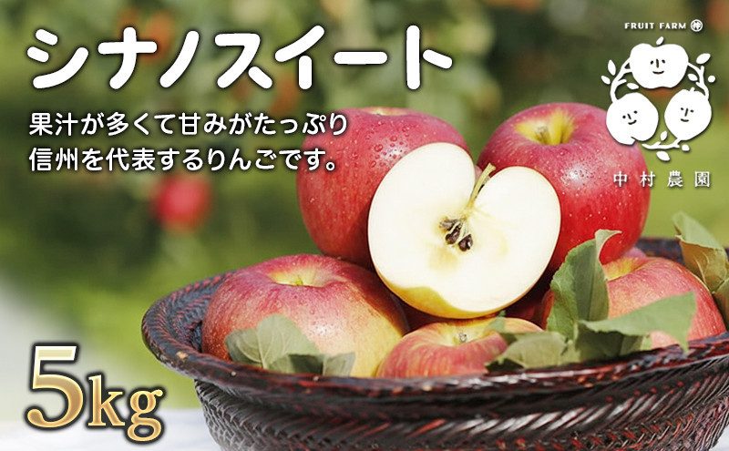 フルーツファーム中村農園　【10月中旬発送 先行予約】樹上熟成　シナノスイート 5kg |  りんご シナノスイート 林檎 人気 おすすめ 果物 フルーツ 贈答用 ギフト 送料無料 長野県 長野市 信州 信濃 ふるさと納税