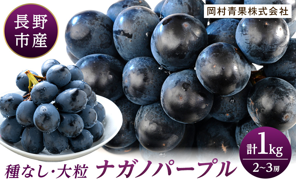 金オ岡村青果株式会社　長野市産 ナガノパープル1kg【2026年9月以降出荷分】果物 くだもの フルーツ デザート 種無し 大粒 旬 |  ぶどう フルーツ 果物 人気 おすすめ ギフト プレゼント 送料無料 長野県 長野市 信州 信濃 ふるさと納税