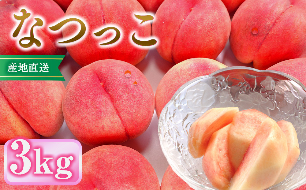 前島農家　なつっこ約3kg（8個～12個） |  桃 フルーツ 果物 旬  人気 おすすめ ギフト プレゼント 送料無料 長野県 長野市 信州 信濃 ふるさと納税