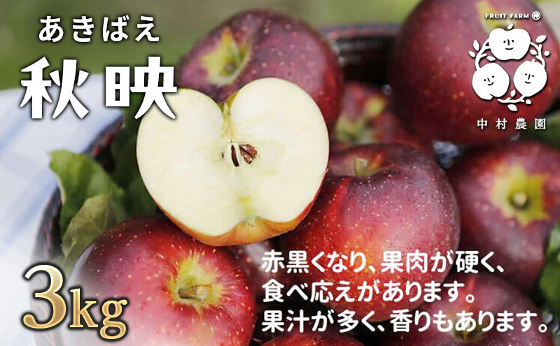 フルーツファーム中村農園　【10月上旬発送 先行予約】樹上熟成　秋映 3kg |  りんご 秋映 林檎 人気 おすすめ 果物 フルーツ 赤いりんご 送料無料 長野県 長野市 信州 信濃 ふるさと納税