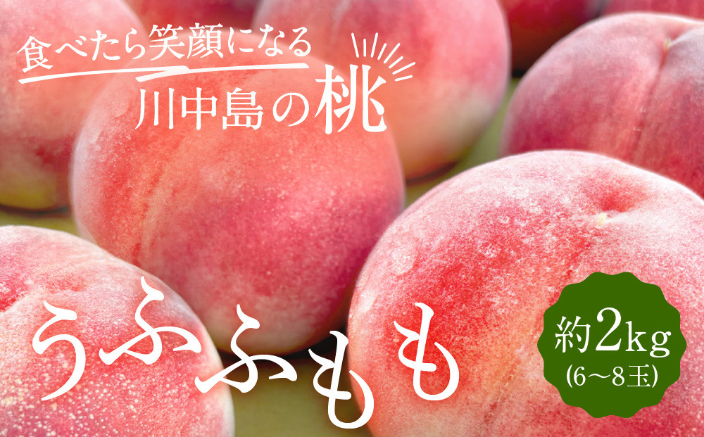 すーさんの果樹屋　【先行予約】川中島の桃 約2kg 品種おまかせ  8月中旬～8月下旬発送予定 | 桃 もも フルーツ 果実  人気 おすすめ ギフト 産地直送 送料無料 長野県 長野市 信州 信濃 ふるさと納税
