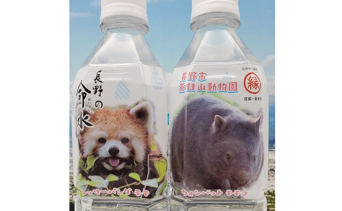 長野の命水（茶臼山動物園ラベル）500ml×24本 飲料類 ミネラルウォーター |  水 お水 飲料 ウォーター 人気 おすすめ ドリンク  送料無料  長野県 長野市 信州 信濃 ふるさと納税