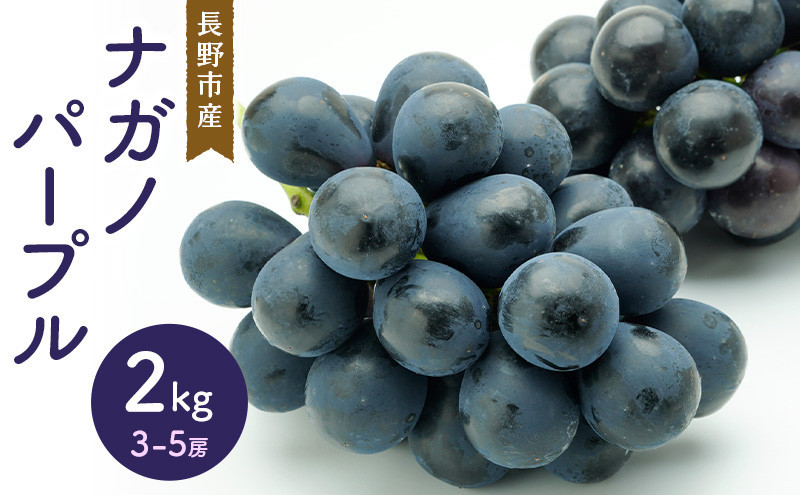 ナガノパープル2kg　3-5房 |  ナガノパープル ぶどう フルーツ 果物 人気 おすすめ ギフト プレゼント 送料無料 長野県 長野市 信州 信濃 ふるさと納税