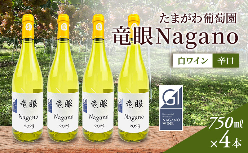 ワイン　竜眼Nagano　【GI長野】認定　750ｍｌ×4本 | 白ワイン お酒 酒 竜眼 長野市産 人気 おすすめ 辛口 フルーティー ワイナリー 葡萄 ギフト プレゼント 家飲み 飲み比べ 送料無料 長野県 長野市 信州 信濃 ふるさと納税