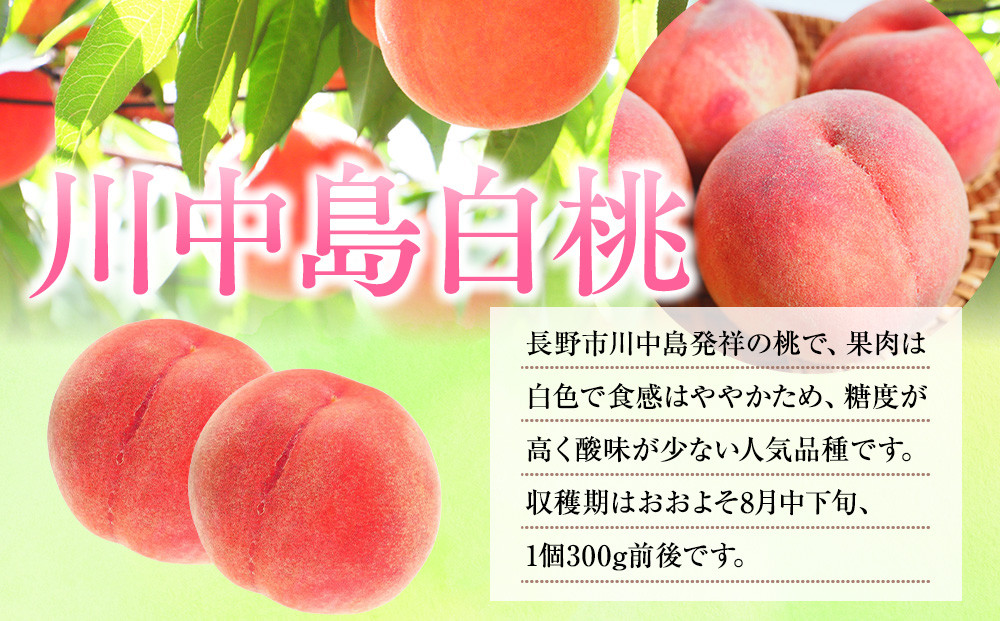 å島蟲家ãå·äžå³¶çœæ¡çŽ3kgïŒ8åïœ12åïŒ | æ¡ ãã«ãŒã æç© æ¬ äººæ° ãããã ã®ãã ãã¬ãŒã³ã éæç¡æ é·éç é·éåž ä¿¡å· ä¿¡æ¿ ãµãããšçŽçš