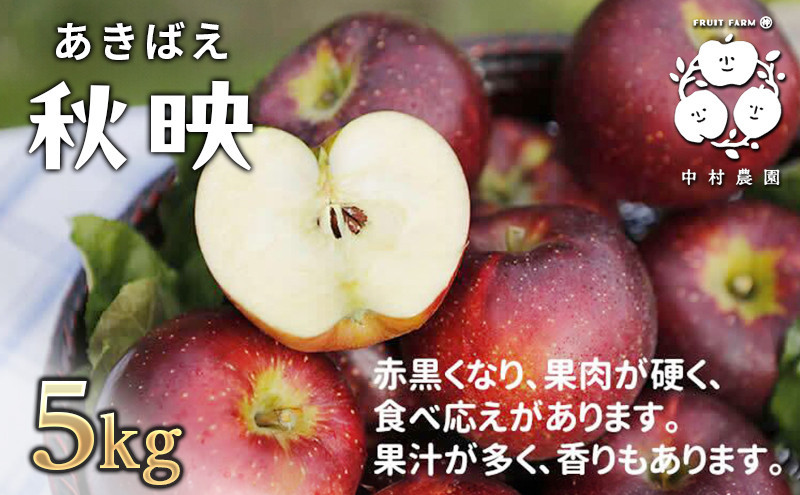 フルーツファーム中村農園　【10月上旬発送 先行予約】樹上熟成　秋映 5kg |  りんご 秋映 林檎 人気 おすすめ 果物 フルーツ 赤いりんご 送料無料 長野県 長野市 信州 信濃 ふるさと納税