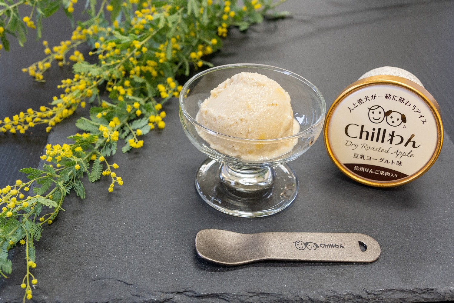 豆乳ヨーグルトアイスセット(信州りんご果肉入り) 豆乳ヨーグルトアイス120ml×4個 Chillわんオリジナルスプーン×1個 | 豆乳 ヨーグルト アイス  信州 りんご 果肉入り 愛犬 安心 人気 おすすめ スイーツ デザート ヘルシー フルーツ  セット プレゼント 送料無料 長野県 長野市 信州 信濃 ふるさと納税