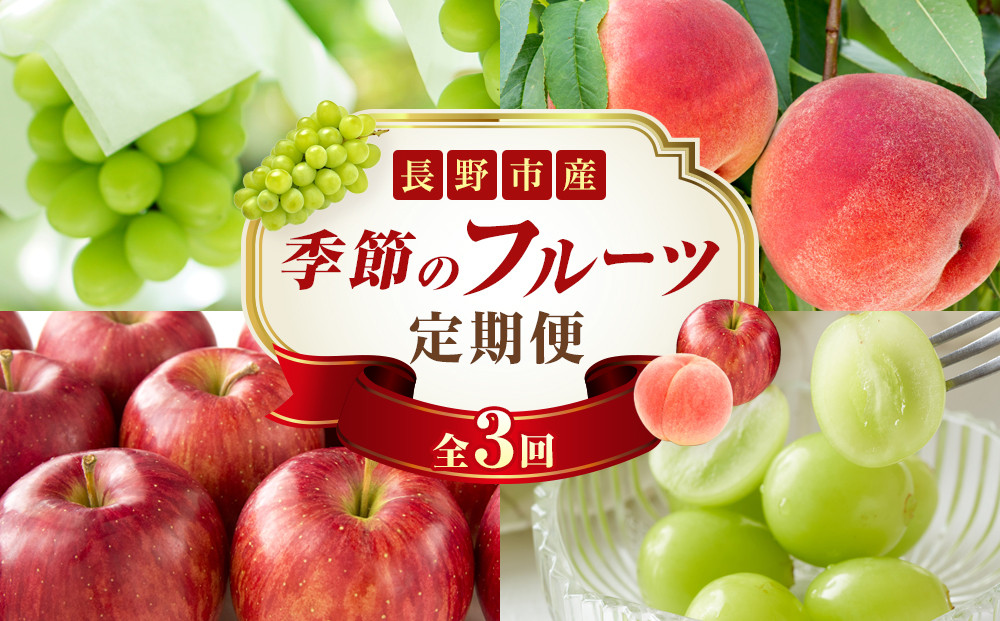 矢島農園　 長野市産 〇季節のフルーツ〇8月～10月定期便　桃・シャインマスカット・シナノスイート ※オンライン限定 |  桃 シャインマスカット ぶどう りんご フルーツ 果物 定期便 人気 おすすめ ギフト プレゼント 送料無料 長野県 長野市 信州 信濃 ふるさと納税