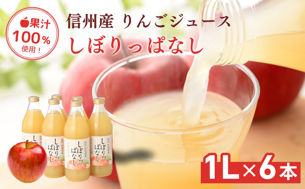 信州産 りんごジュース 「しぼりっぱなし」 果汁100％ (1L×6本) |  ジュース りんご 信州産 しぼりっぱなし ストレート 人気 おすすめ 果汁100% リンゴ 林檎 飲料 ドリンク 果物 定期便  送料無料 長野県 長野市 信州 信濃 ふるさと納税
