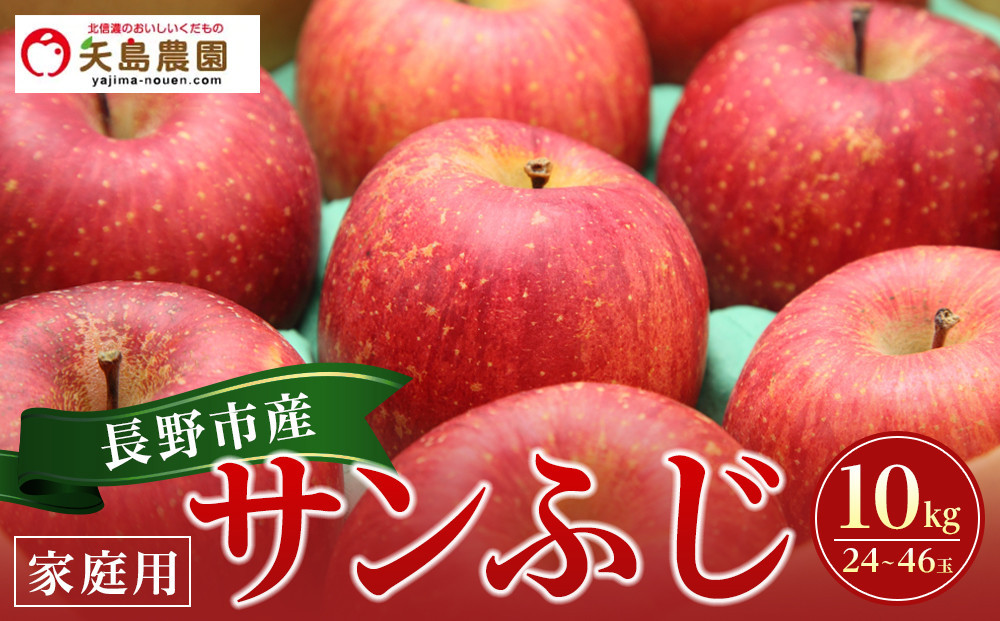 矢島農園　 長野市産サンふじ 家庭用 10kg(24～46玉)サイズふぞろい【2026年12月中旬頃～発送予定】|  りんご フルーツ 果物 人気 おすすめ ギフト プレゼント 送料無料 長野県 長野市 信州 信濃 ふるさと納税