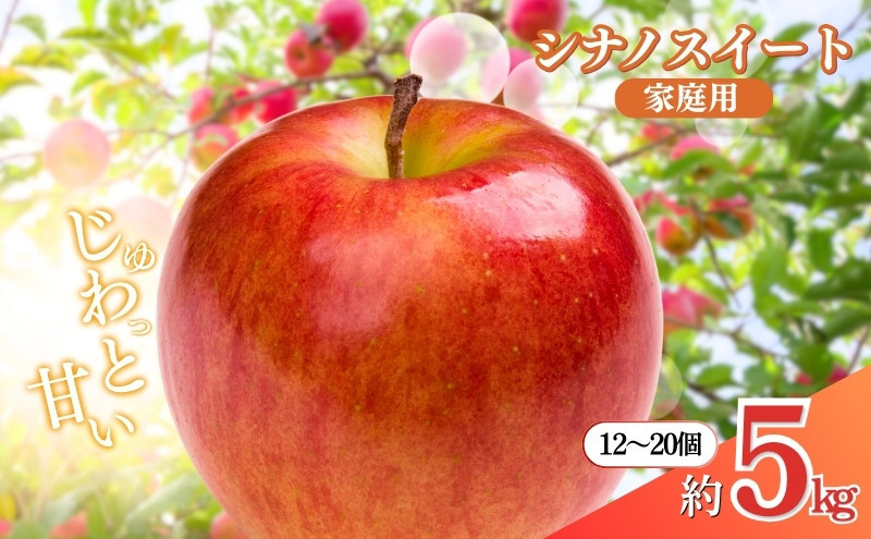 矢島農園　 長野市産 シナノスイート 家庭用 5kg(12～20玉)【2026年10月下旬頃発送予定】 |  りんご フルーツ 果物 人気 おすすめ ギフト プレゼント 送料無料 長野県 長野市 信州 信濃 ふるさと納税