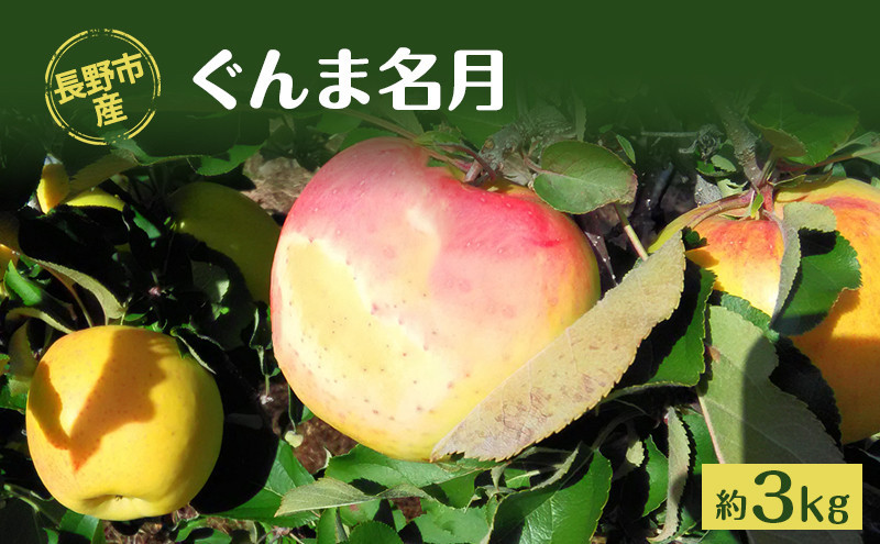 牧野果樹園　長野市産「ぐんま名月」約3kg（8～10玉） |  りんご ぐんま名月 フルーツ 果物 林檎 リンゴ アップル くだもの 人気  おすすめ ギフト プレゼント 送料無料 長野県 長野市 信州 信濃 ふるさと納税