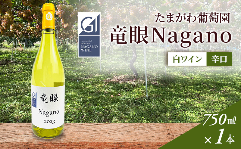 ワイン　竜眼Nagano　【GI長野】認定　750ｍｌ×1本 | 白ワイン お酒 酒 竜眼 長野市産 人気 おすすめ 辛口 フルーティー ワイナリー 葡萄 ギフト プレゼント 家飲み 飲み比べ 送料無料 長野県 長野市 信州 信濃 ふるさと納税