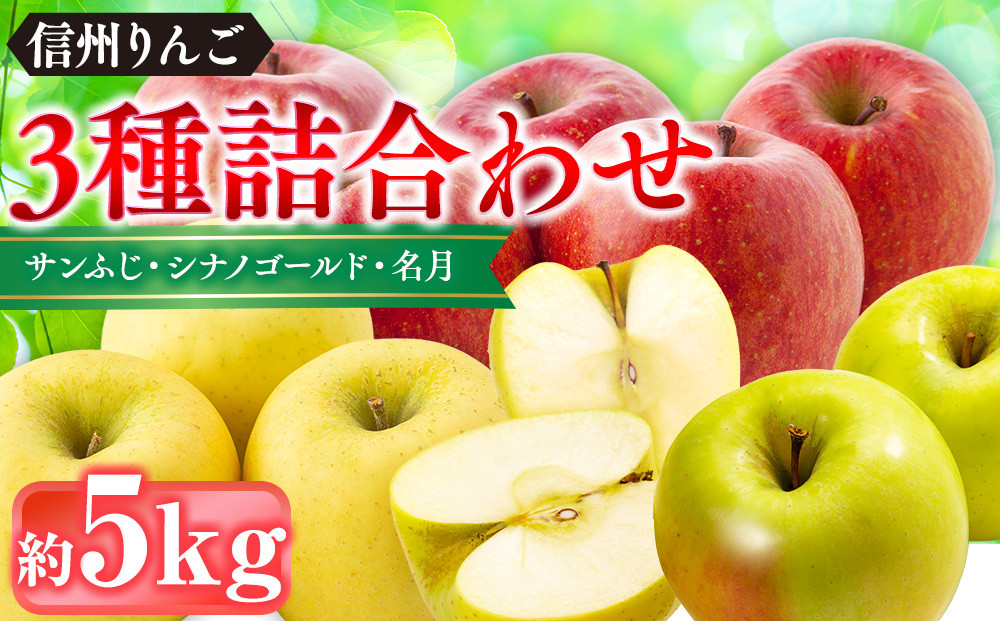 ä¿¡å·ãããã»å島蟲家ãããããããïŒãµã³ãµãã»ã·ãããŽãŒã«ãã»åæïŒçŽ5kgïŒ12åïœ16åïŒïœ ããã é£ã¹æ¯ã¹ è©°ãåãã ä¿¡å·ç£ äººæ° ãããã ãµã³ãµã ã·ãããŽãŒã«ã åæ æç© ãã«ãŒã æ¬ èå
¥ã çã ãžã¥ãŒã·ãŒ é·éç é·éåž ä¿¡å· ä¿¡æ¿ ãµãããšçŽçš