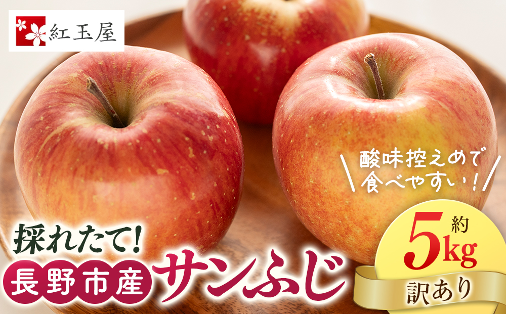 紅玉屋 長野市産【訳あり】サンふじ5kg【2026年12月上旬以降の出荷分】（紅玉屋） |  りんご フルーツ 果物 サンふじ 訳あり 人気 おすすめ ギフト プレゼント 送料無料 長野県 長野市 信州 信濃 ふるさと納税