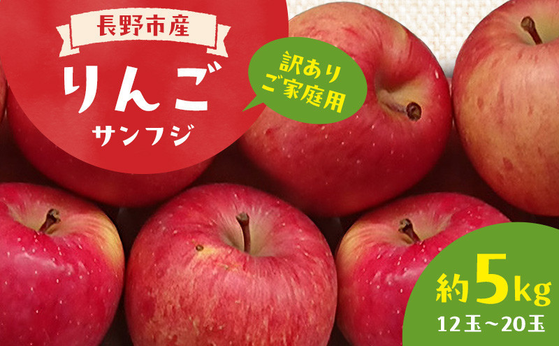＜ 訳あり ご家庭用 ＞2026年長野市産 サンふじ 規格外 訳あり 約5kg |  りんご サンふじ 訳あり 規格外 人気 おすすめ 林檎 リンゴ フルーツ 果物 家庭用 応援 長野県 長野市 信州 信濃 ふるさと納税