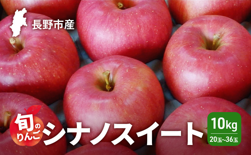 2026年発送　長野市産　旬のりんご　シナノスイート10kg　20玉～36玉 りんご リンゴ 果物 フルーツ 秋