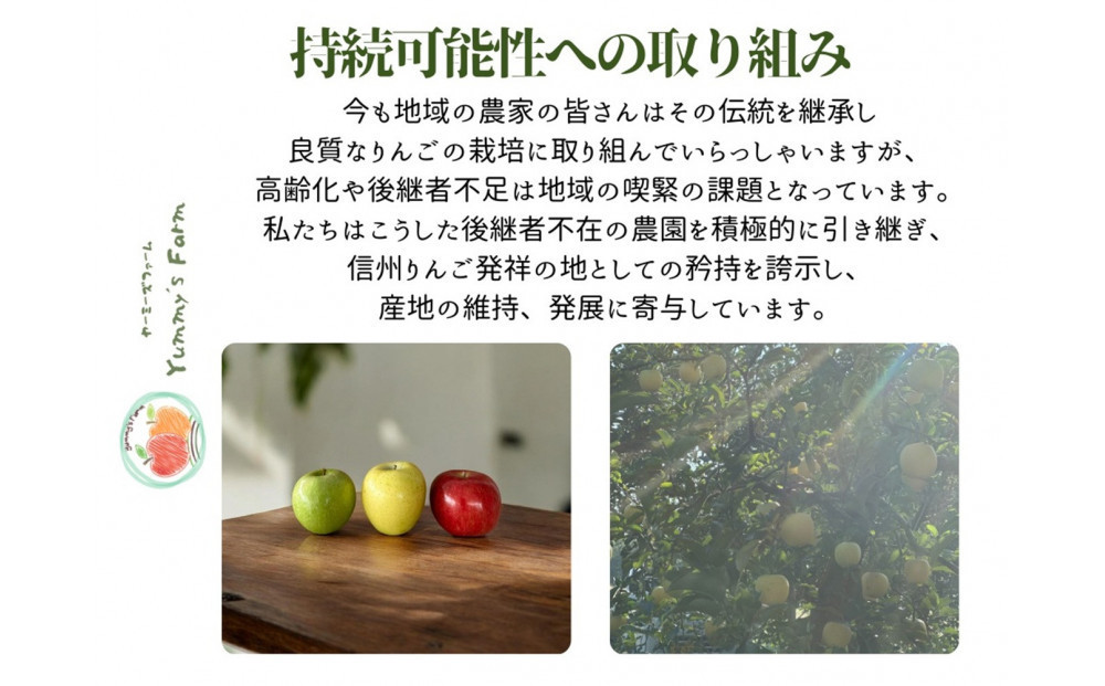 埮ã¢ã«ã³ãŒã«ã·ãŒãã« ãã³ãã¬ãµãŒãžã¥330mlÃ6æ¬ ç¡æ·»å ã»ç¡æ¿Ÿéã»éå ç±äœæž©çºé
µã®çºé
µãµã€ããŒ