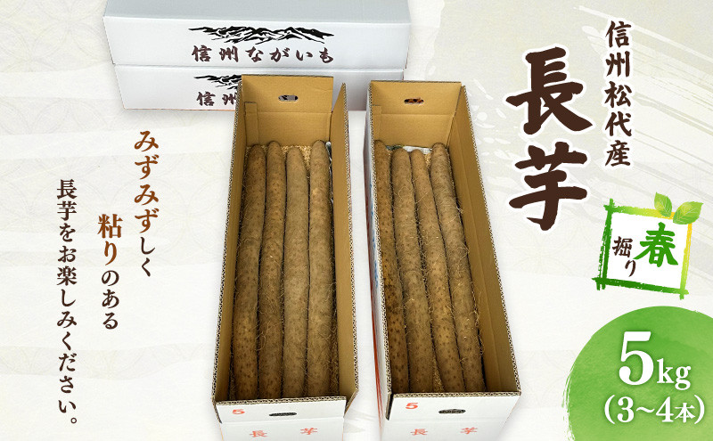 熊原果樹園　長芋（春堀り）5kg | 長いも 野菜 根菜 とろろ シャキシャキ 食感 粘り 松代産  特産品 人気 おすすめ 送料無料 長野県 長野市 信州 信濃 ふるさと納税