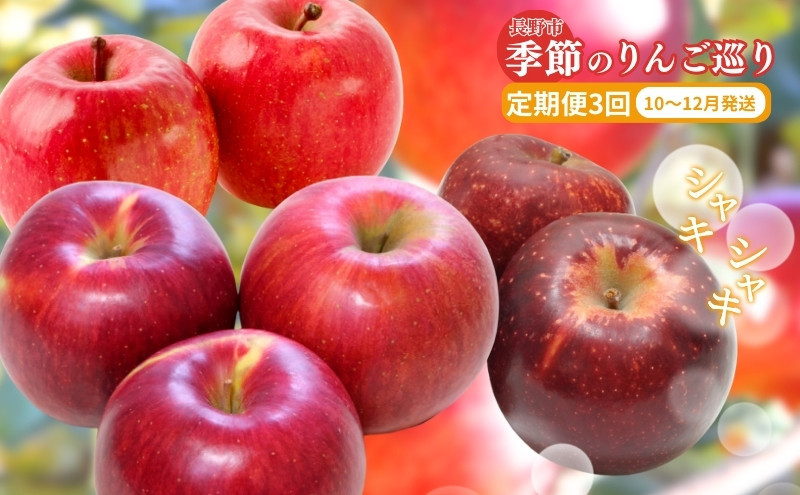 矢島農園　 長野市産 ◎りんごの定期便◎ 10月～12月 3ヵ月連続5kg(12～20玉)ずつお届け　あきばえ・シナノスイート・サンふじ |  りんご フルーツ 果物 定期便 人気 おすすめ ギフト プレゼント 送料無料 長野県 長野市 信州 信濃 ふるさと納税　