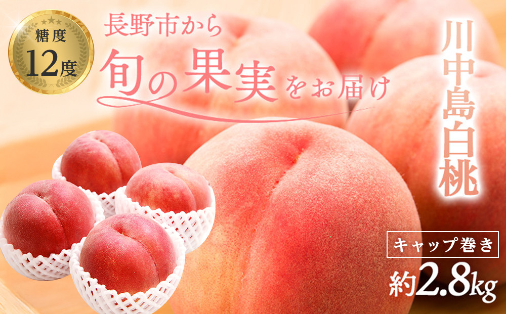 金オ岡村青果株式会社　桃 先行予約 川中島白桃 約2.8kg 糖度12度 白桃 フルーツ 果物 オンライン決済限定 | 桃 フルーツ 果実  人気 おすすめ ギフト プレゼント 送料無料 長野県 長野市 信州 信濃 ふるさと納税